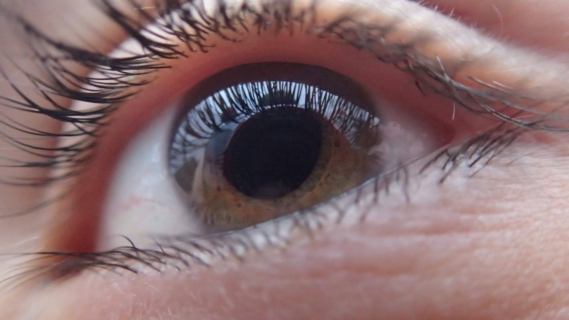 Комп’ютерна хвороба очей – важлива проблема XXI сторіччя